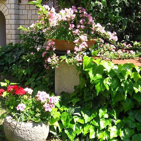 Guest House Caterina Poreč Kültér fotó