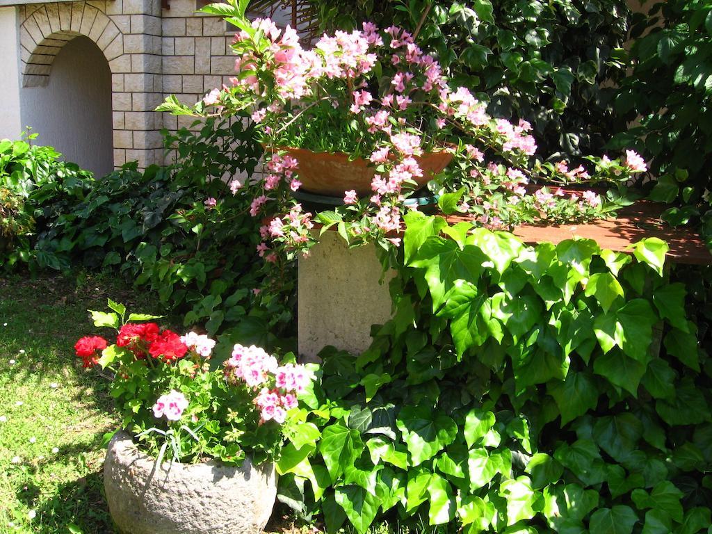Guest House Caterina Poreč Kültér fotó